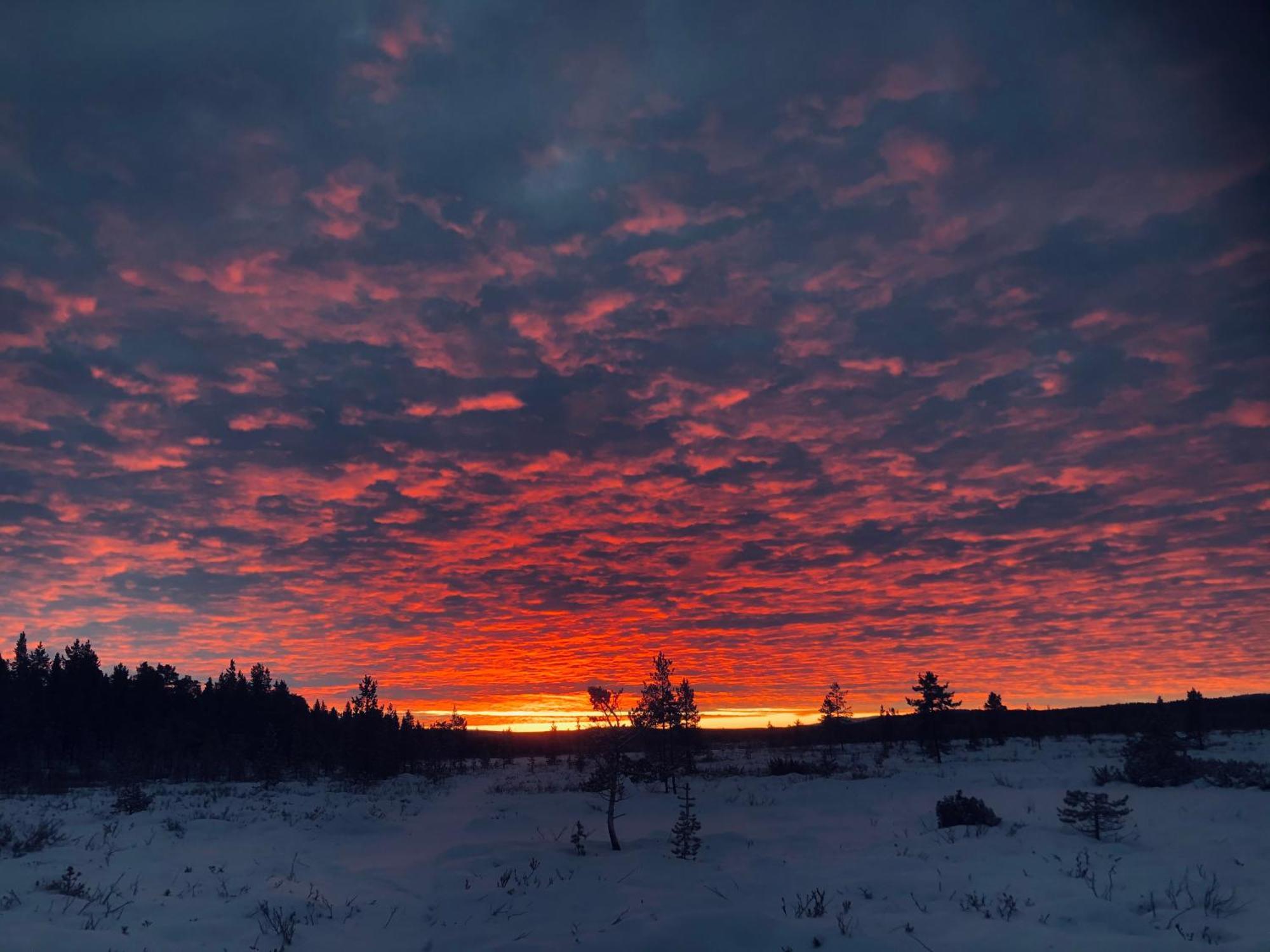 فندق Pasvik Taiga Skogfoss المظهر الخارجي الصورة