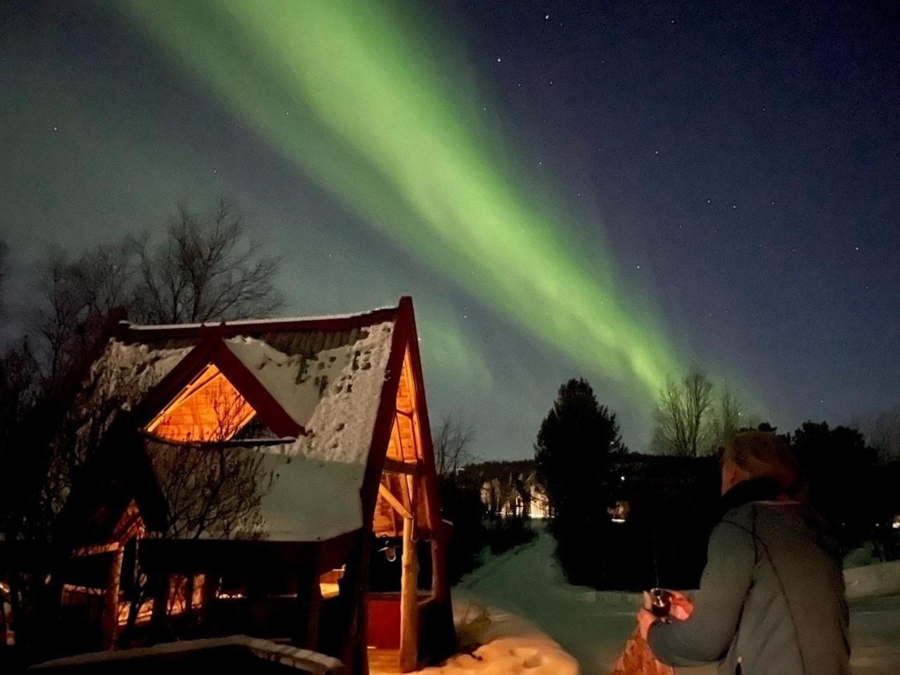 فندق Pasvik Taiga Skogfoss المظهر الخارجي الصورة